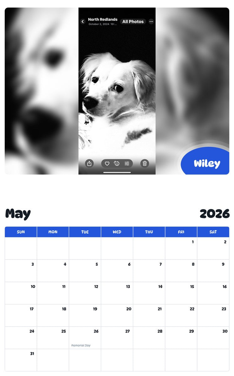 2026 - 2027 Wiley - Pawidols Pet Calendar