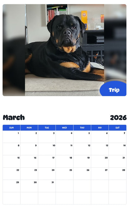 November 2025 - October 2026 Trip - Pawidols Pet Calendar