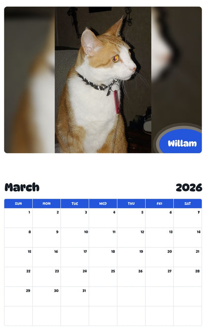 November 2025 - October 2026 Willam - Pawidols Pet Calendar