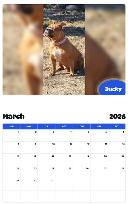 November 2025 - October 2026 Ducky - Pawidols Pet Calendar