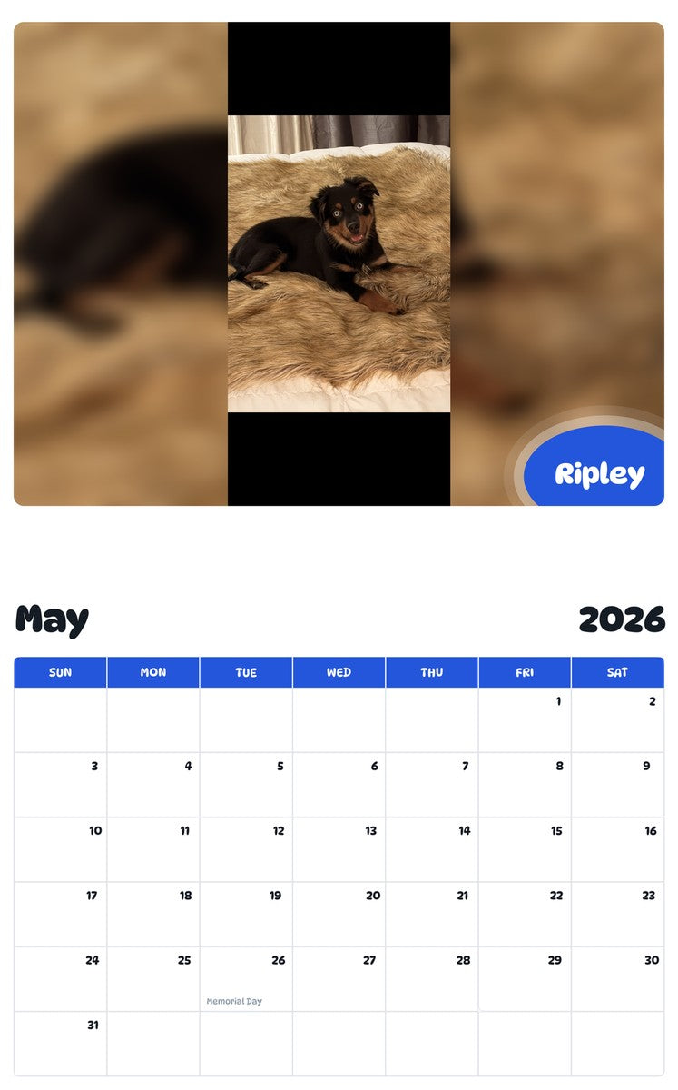 2026 - 2027 Ripley - Pawidols Pet Calendar
