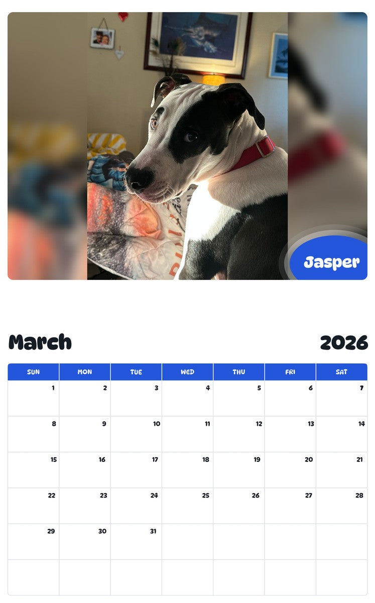 November 2025 - October 2026 Jasper - Pawidols Pet Calendar