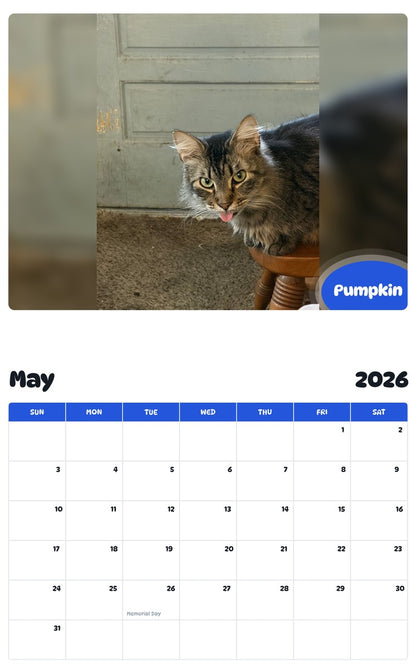 2026 - 2027 Pumpkin - Pawidols Pet Calendar