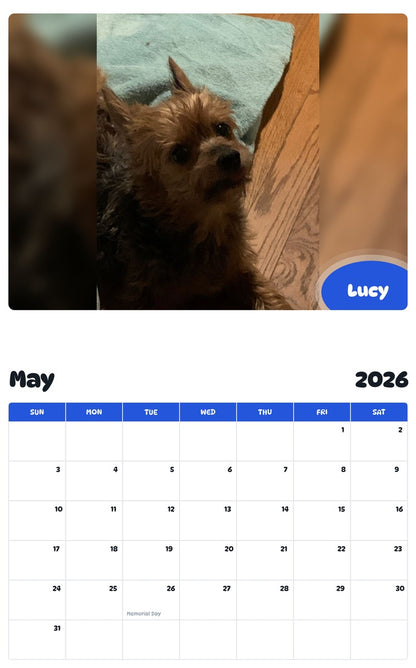 2026 - 2027 Lucy - Pawidols Pet Calendar
