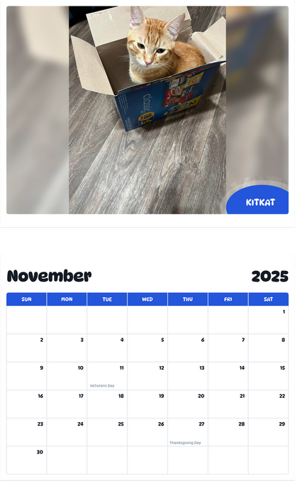 July 2025 - June 2026 kitkat - Pawidols Pet Calendar