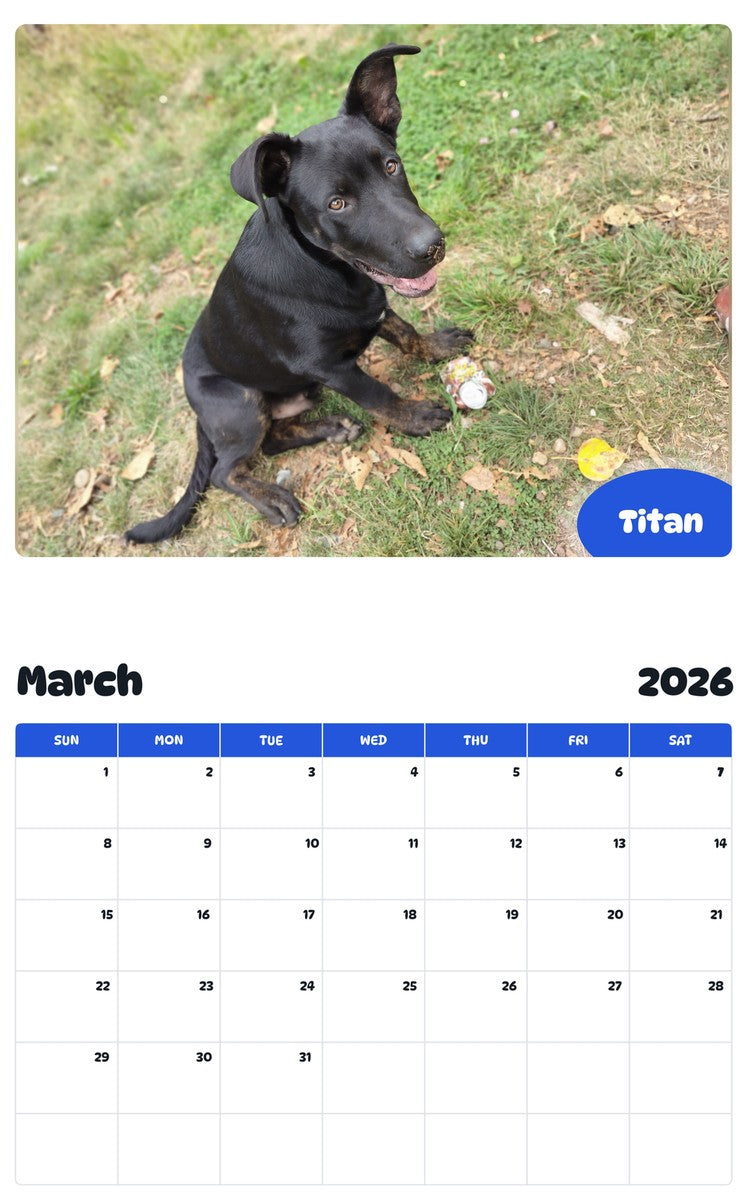 November 2025 - October 2026 Titan - Pawidols Pet Calendar