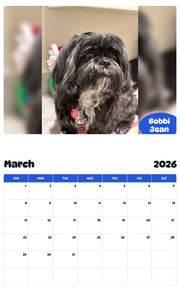 November 2025 - October 2026 Bobbi Jean - Pawidols Pet Calendar