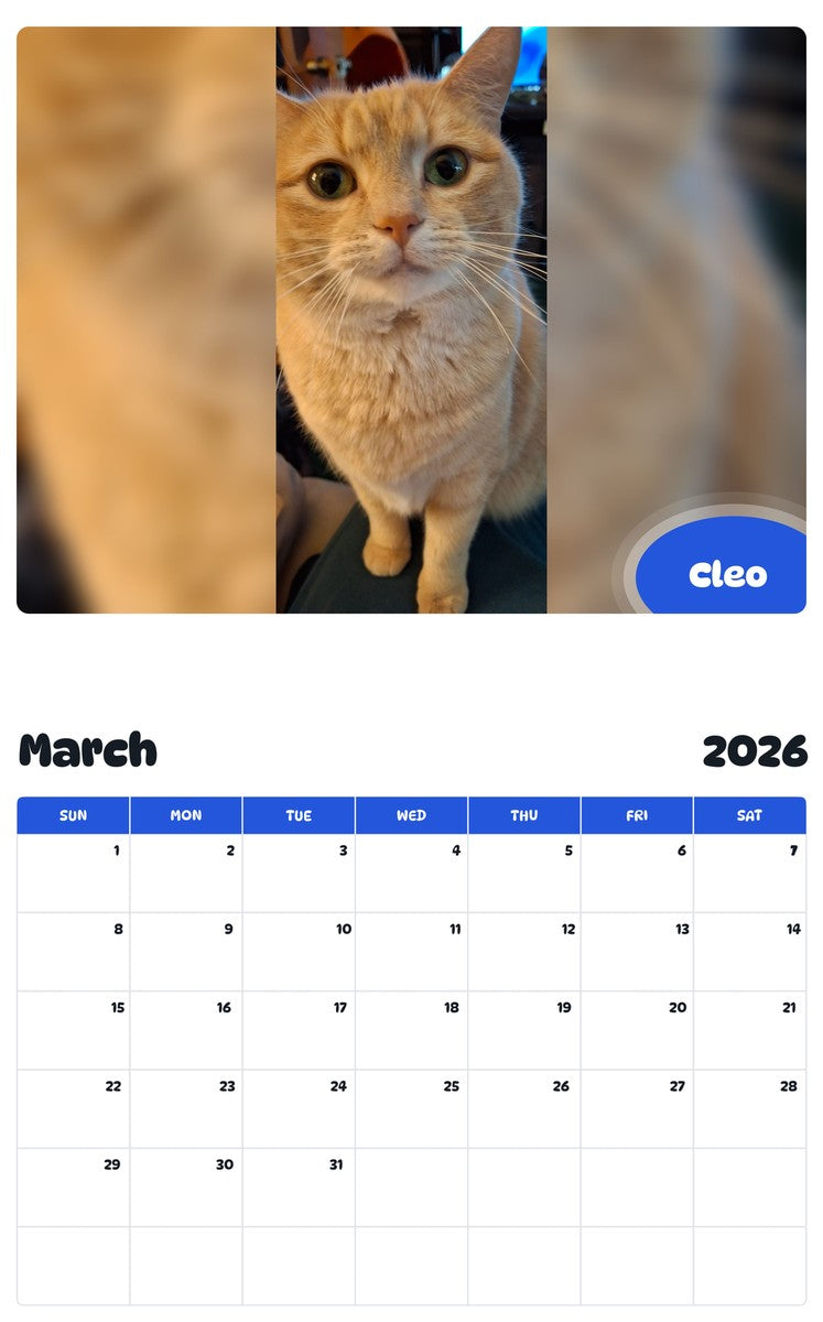November 2025 - October 2026 Cleo - Pawidols Pet Calendar
