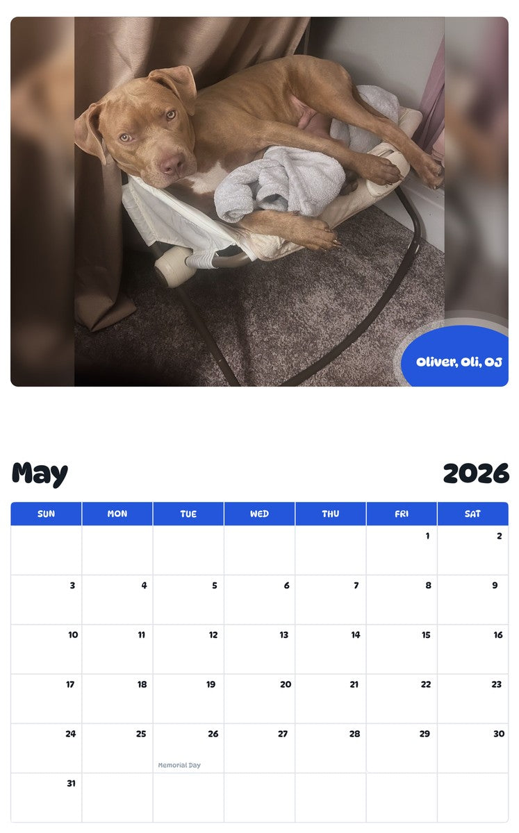 2026 - 2027 Oliver, Oli, OJ - Pawidols Pet Calendar