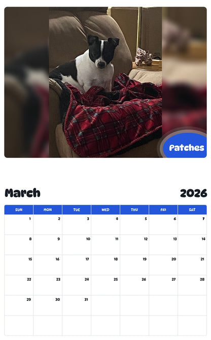 November 2025 - October 2026 Patches - Pawidols Pet Calendar