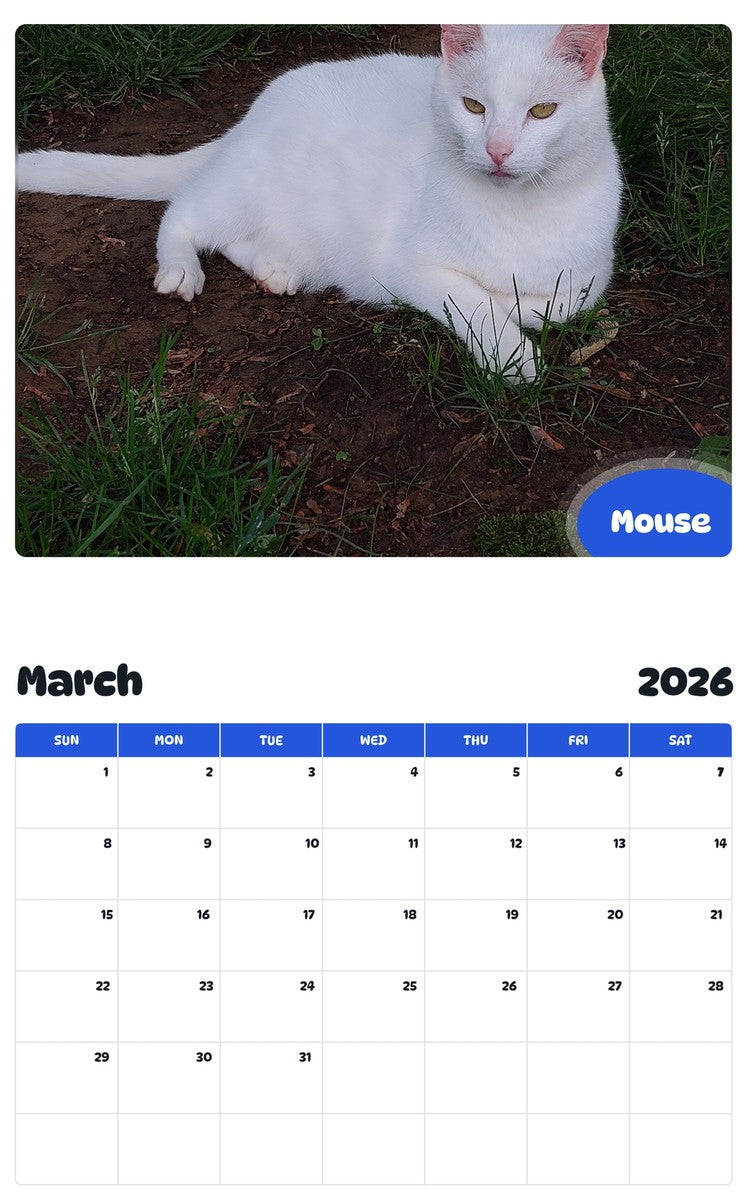 November 2025 - October 2026 Mouse - Pawidols Pet Calendar