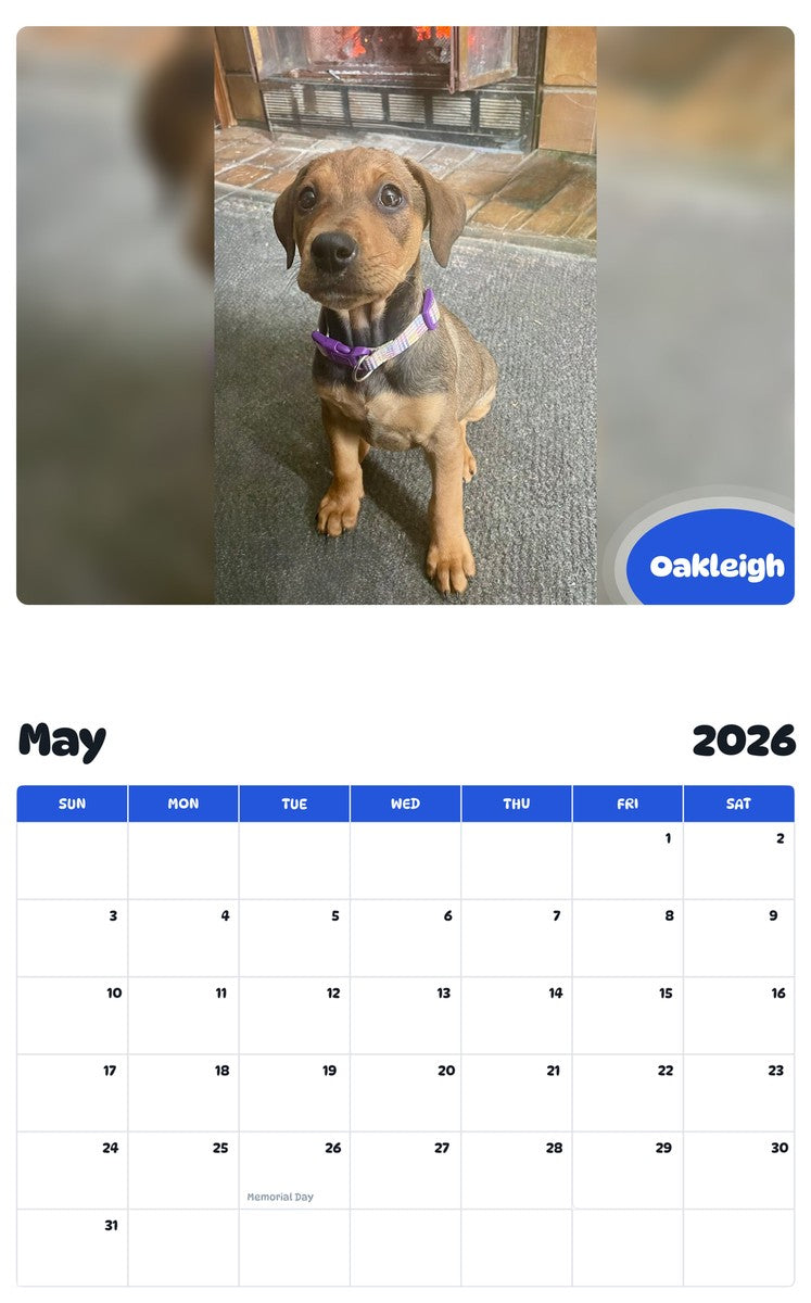 2026 - 2027 Oakleigh - Pawidols Pet Calendar