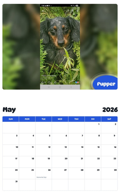 2026 - 2027 Pupper - Pawidols Pet Calendar