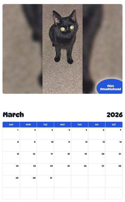 November 2025 - October 2026 Miss Knucklehead - Pawidols Pet Calendar