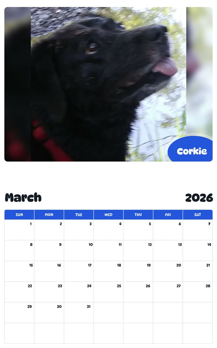 November 2025 - October 2026 Corkie - Pawidols Pet Calendar