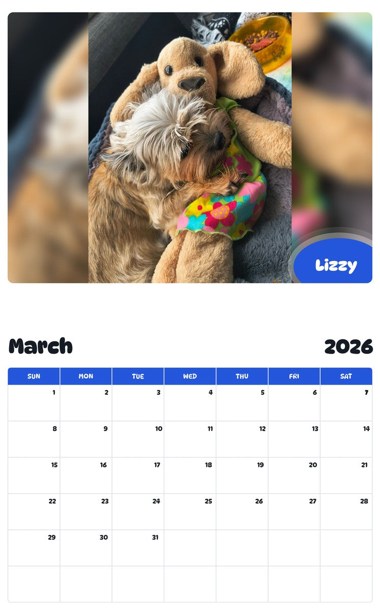 November 2025 - October 2026 Lizzy - Pawidols Pet Calendar