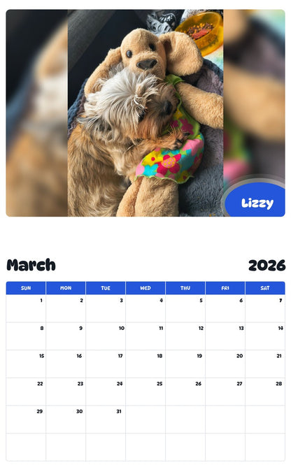 November 2025 - October 2026 Lizzy - Pawidols Pet Calendar