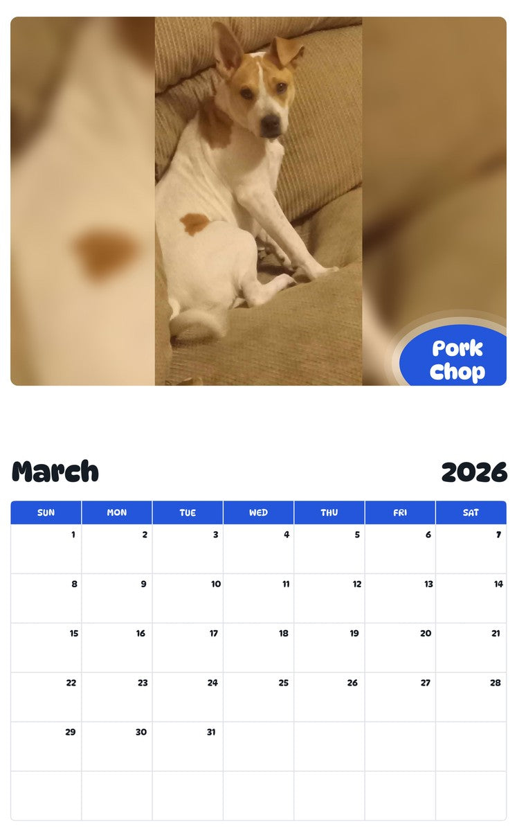 November 2025 - October 2026 Pork Chop - Pawidols Pet Calendar