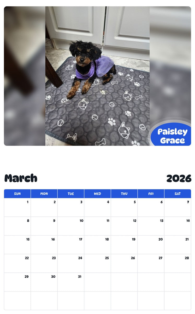 November 2025 - October 2026 Paisley Grace - Pawidols Pet Calendar