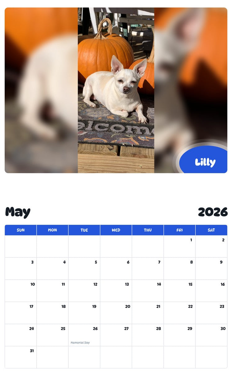 2026 - 2027 Lilly - Pawidols Pet Calendar