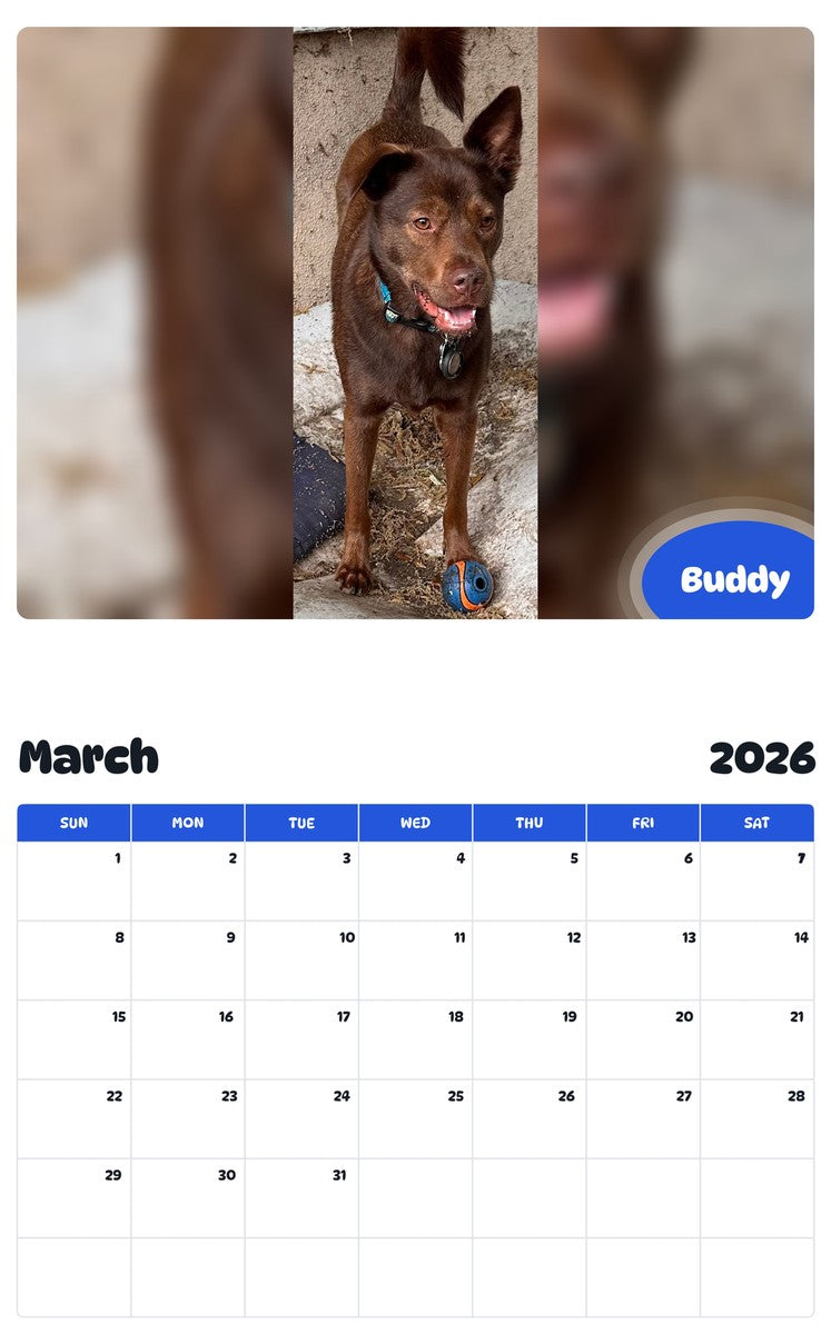 November 2025 - October 2026 Buddy - Pawidols Pet Calendar