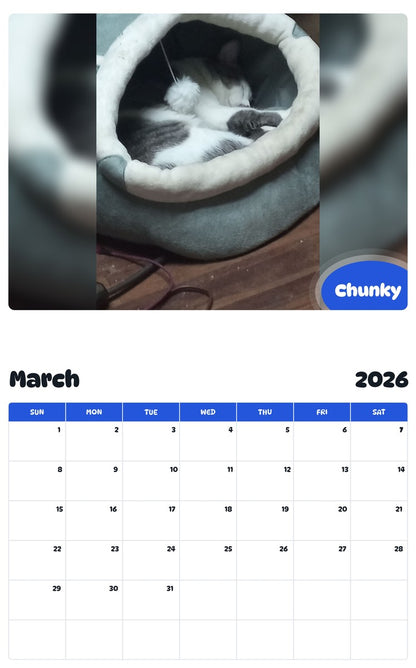 November 2025 - October 2026 Chunky - Pawidols Pet Calendar