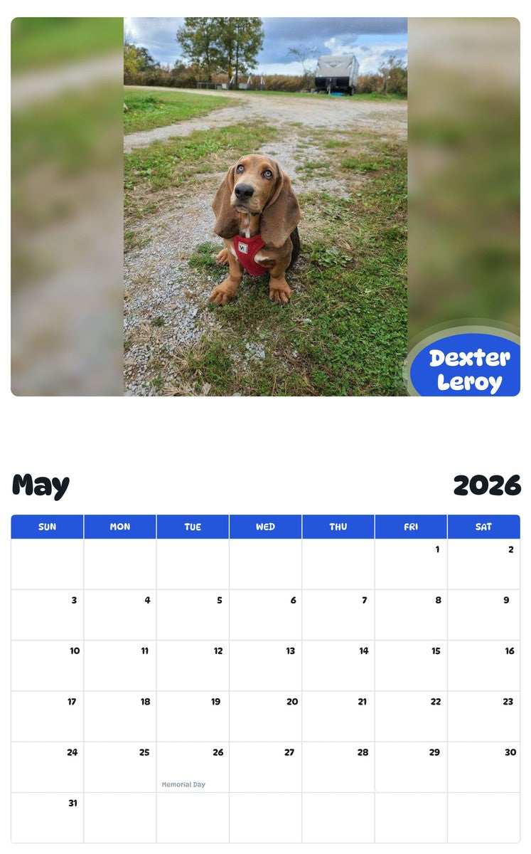2026 - 2027 Dexter Leroy - Pawidols Pet Calendar