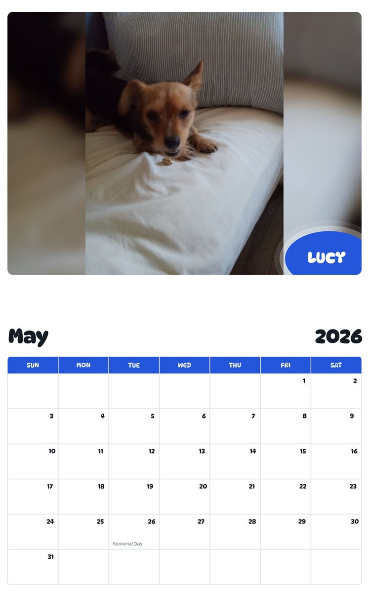 2026 - 2027 LUCY - Pawidols Pet Calendar