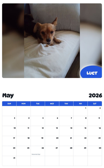2026 - 2027 LUCY - Pawidols Pet Calendar