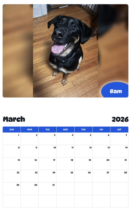 November 2025 - October 2026 Bam - Pawidols Pet Calendar