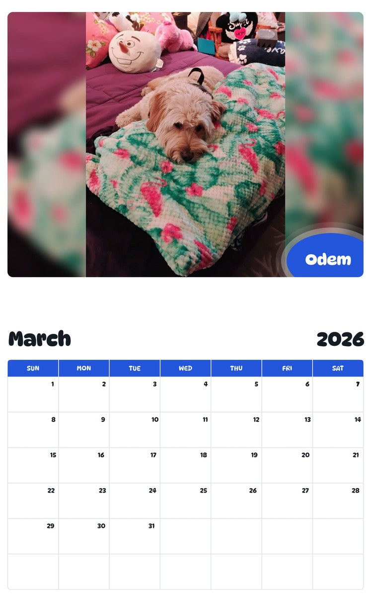 November 2025 - October 2026 Odem - Pawidols Pet Calendar