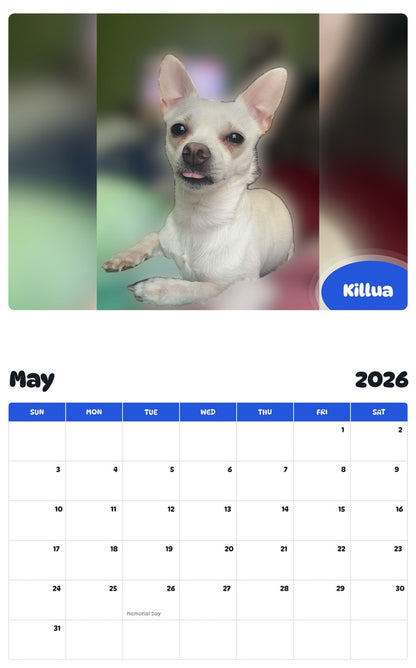 2026 - 2027 Killua - Pawidols Pet Calendar