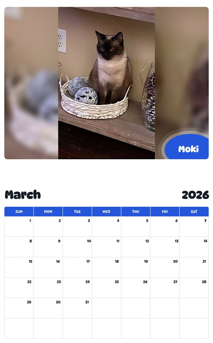 November 2025 - October 2026 Moki - Pawidols Pet Calendar