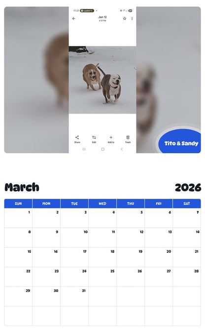 November 2025 - October 2026 Tito & Sandy - Pawidols Pet Calendar