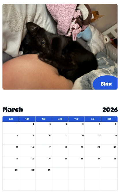 November 2025 - October 2026 Binx - Pawidols Pet Calendar