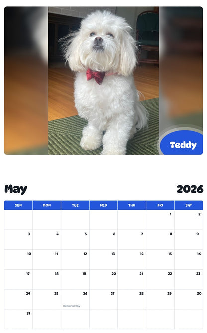 2026 - 2027 Teddy - Pawidols Pet Calendar