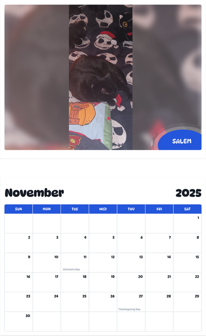 July 2025 - June 2026 Salem - Pawidols Pet Calendar