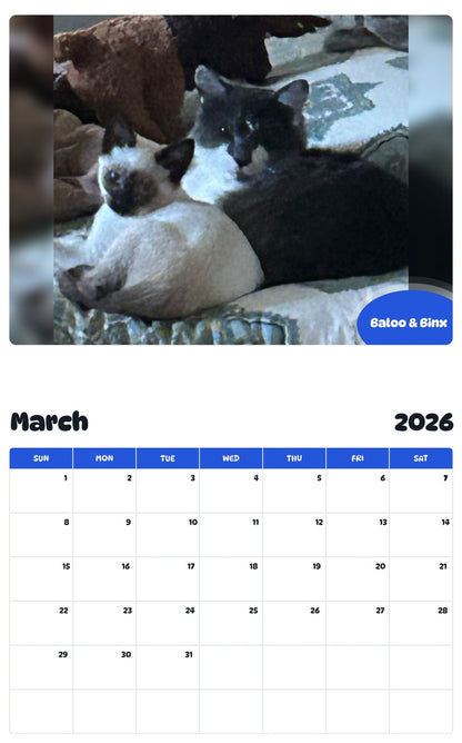November 2025 - October 2026 Baloo & Binx - Pawidols Pet Calendar