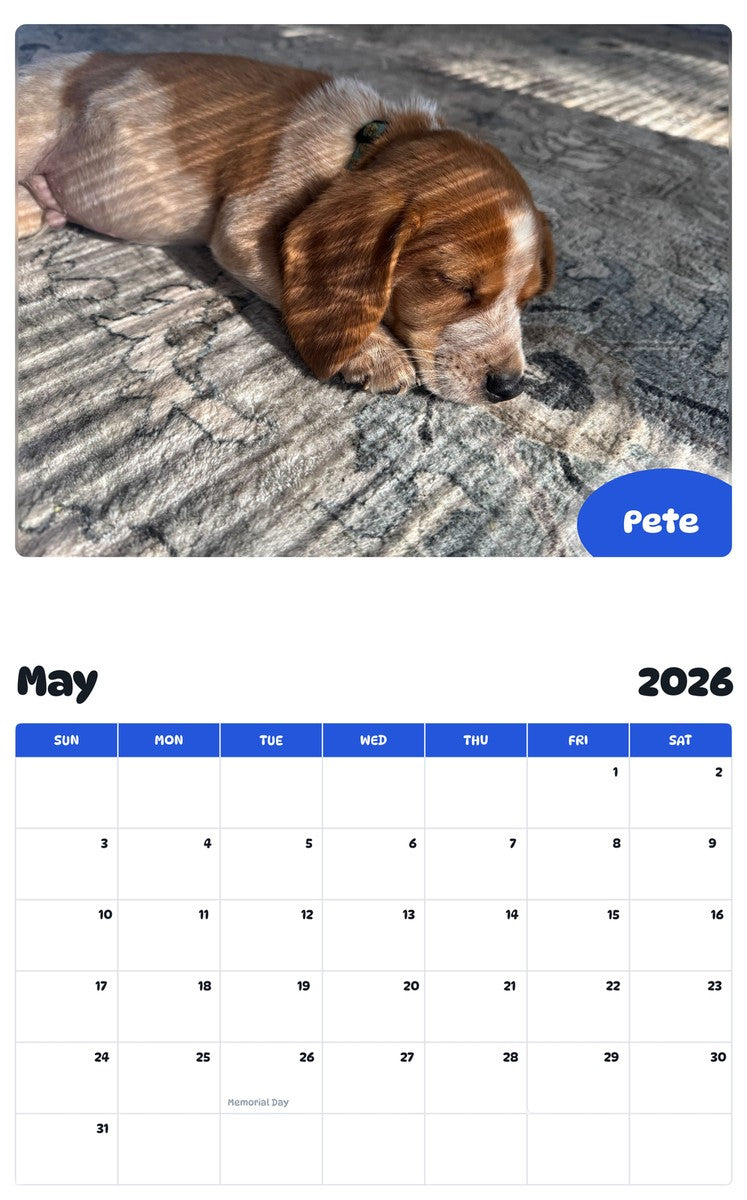 2026 - 2027 Pete - Pawidols Pet Calendar