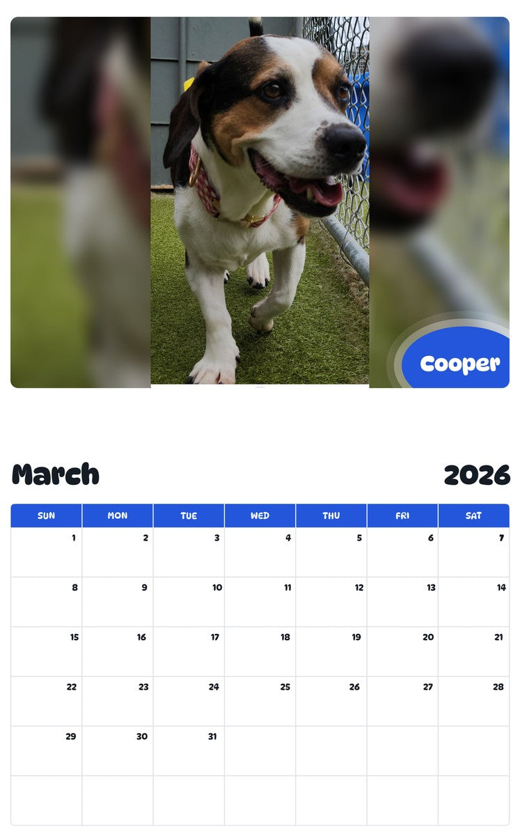 November 2025 - October 2026 Cooper - Pawidols Pet Calendar