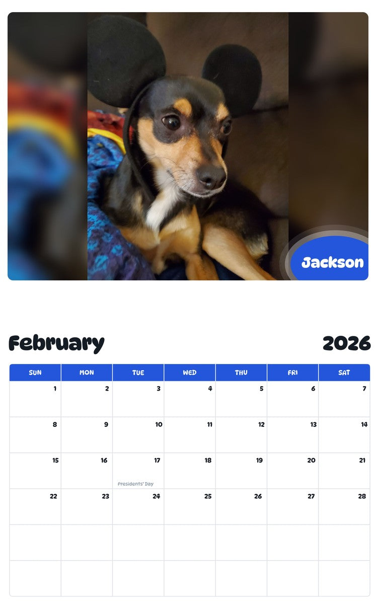 October 2025 - September 2026 Jackson - Pawidols Pet Calendar