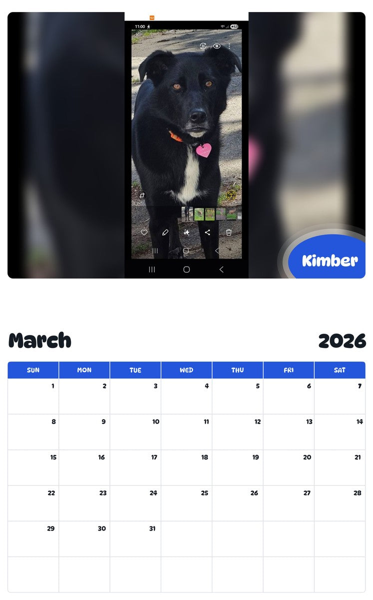 November 2025 - October 2026 Kimber - Pawidols Pet Calendar