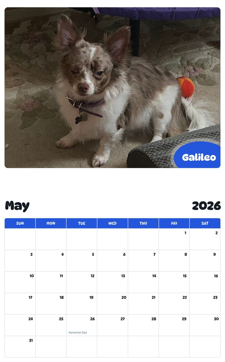 2026 - 2027 Galileo - Pawidols Pet Calendar