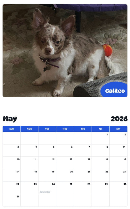 2026 - 2027 Galileo - Pawidols Pet Calendar