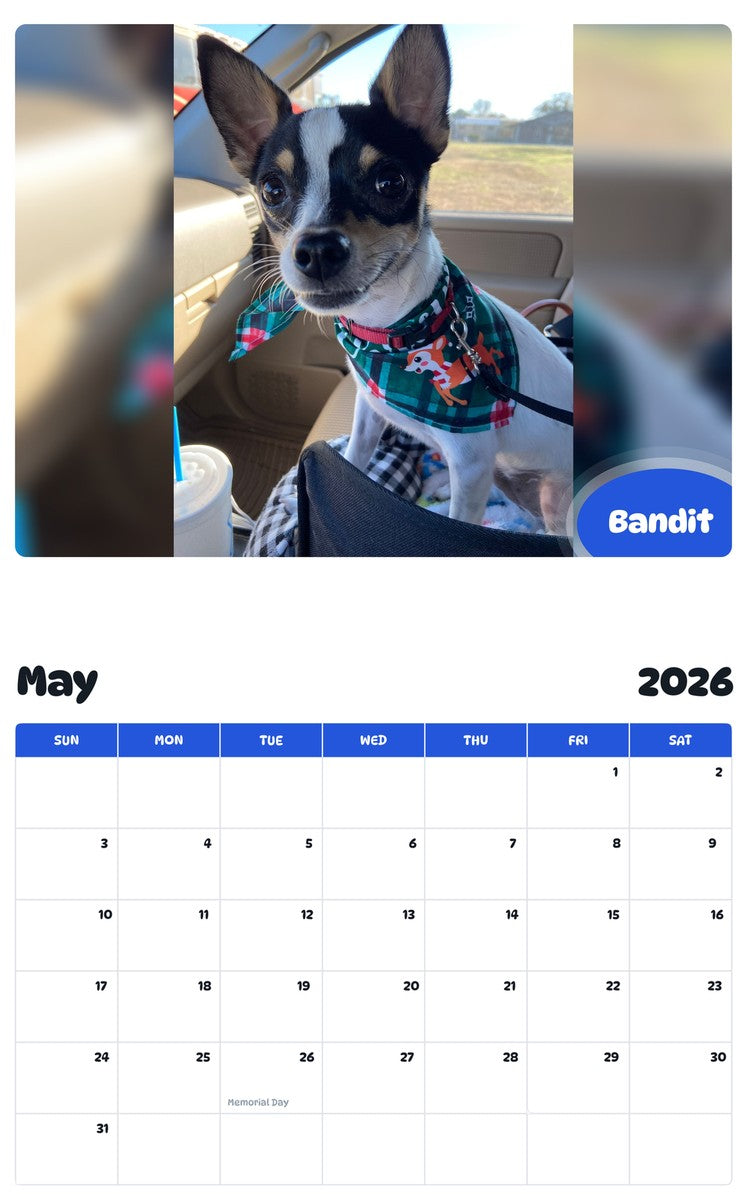 2026 - 2027 Bandit - Pawidols Pet Calendar