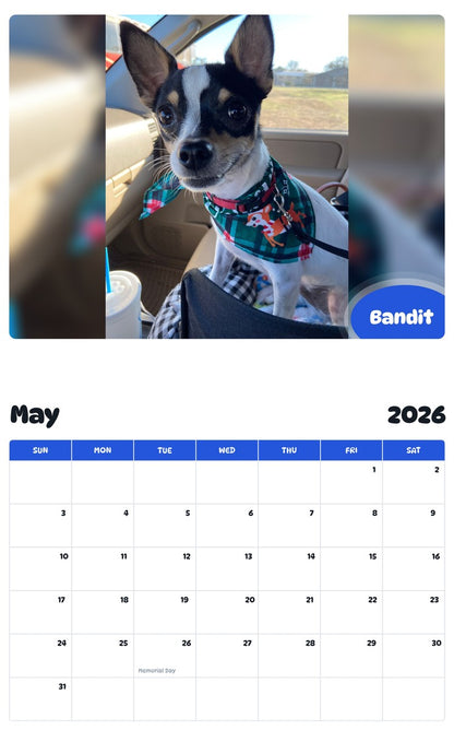2026 - 2027 Bandit - Pawidols Pet Calendar