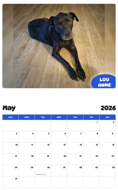 2026 - 2027 LOU ANNE - Pawidols Pet Calendar