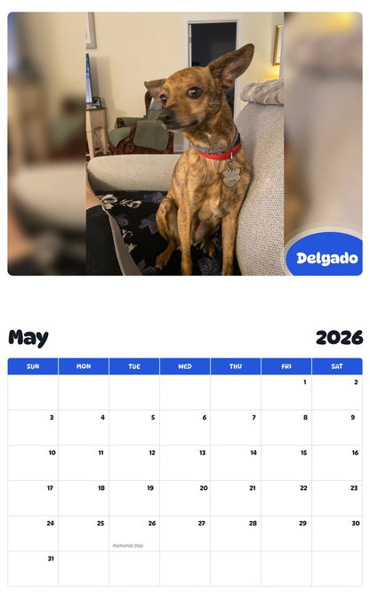 2026 - 2027 Delgado - Pawidols Pet Calendar