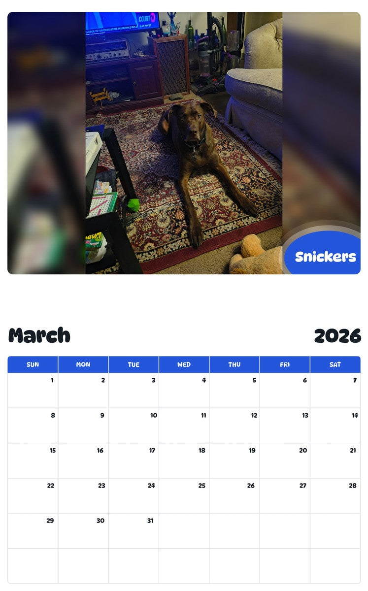 November 2025 - October 2026 Snickers - Pawidols Pet Calendar