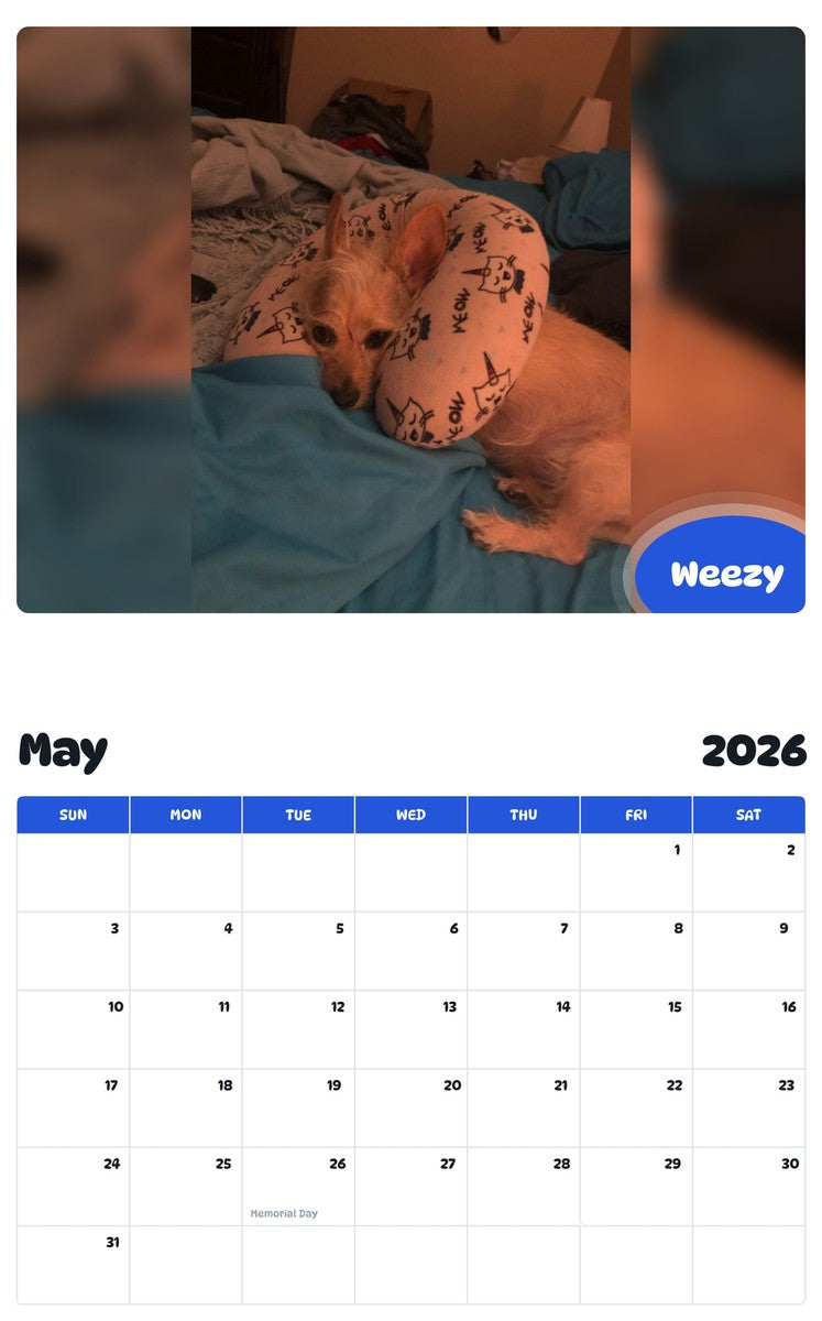 2026 - 2027 Weezy - Pawidols Pet Calendar